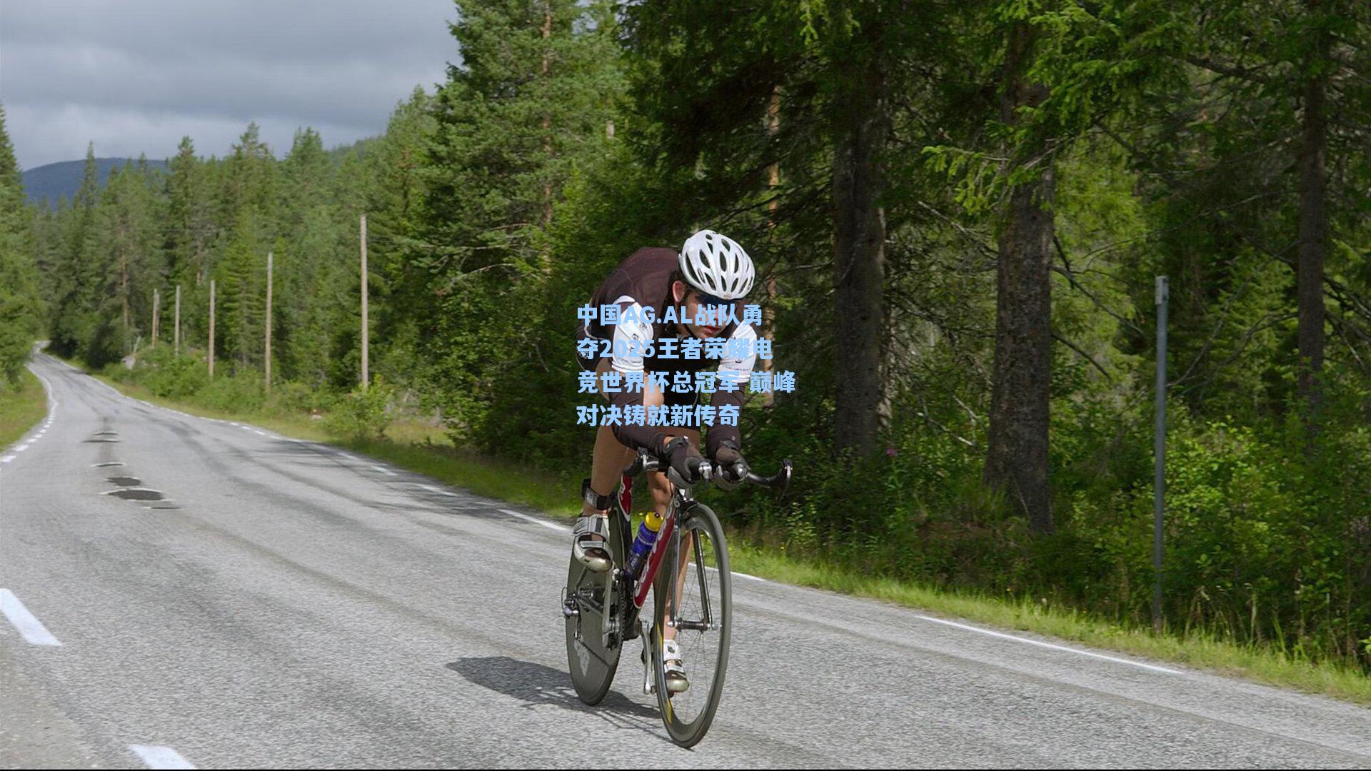 中国AG.AL战队勇夺2025王者荣耀电竞世界杯总冠军 巅峰对决铸就新传奇