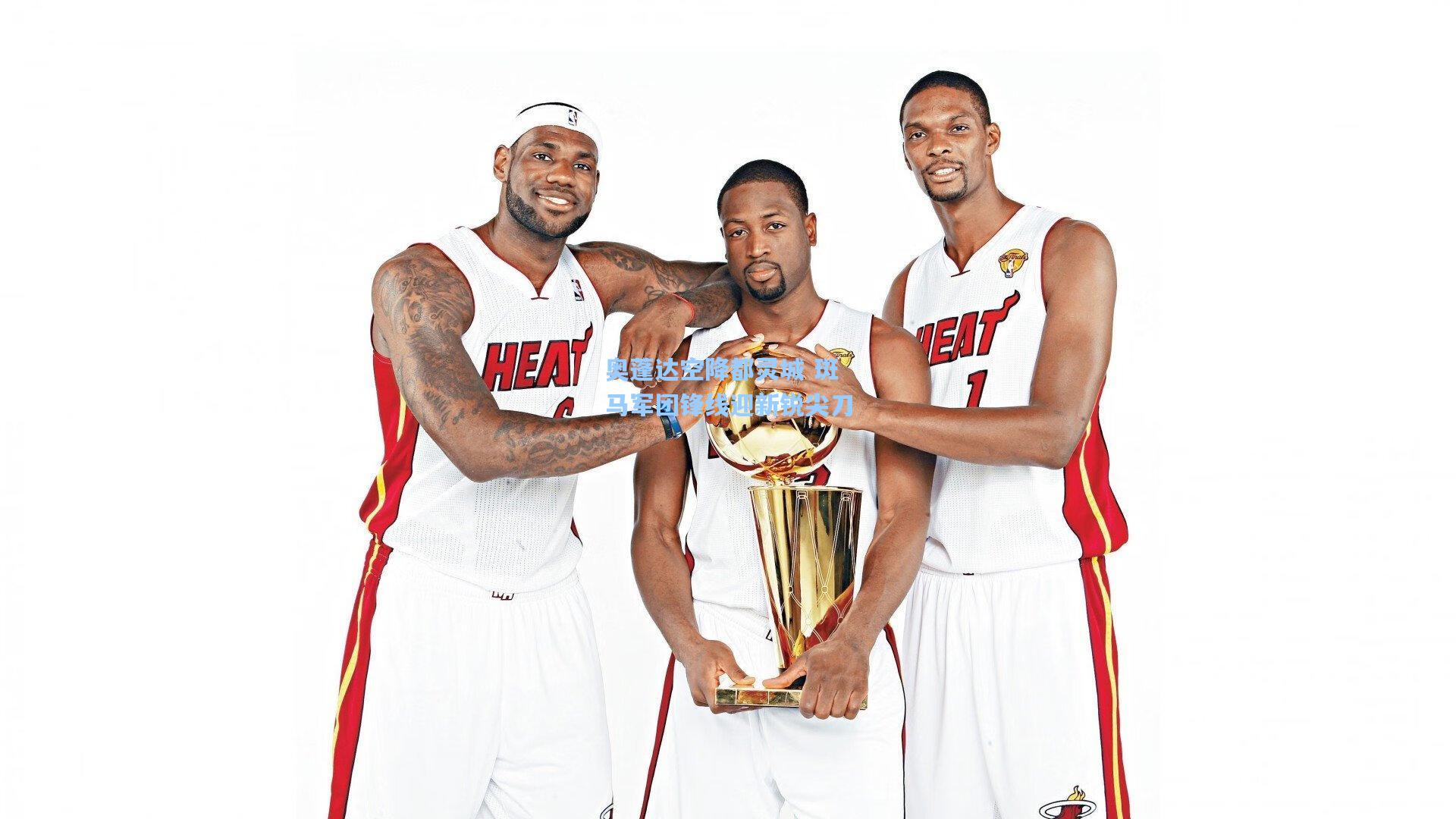 奥蓬达空降都灵城 斑马军团锋线迎新锐尖刀